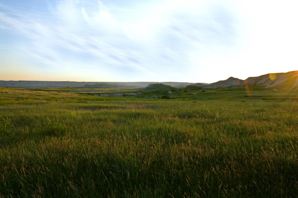 Conata Ranch Vista