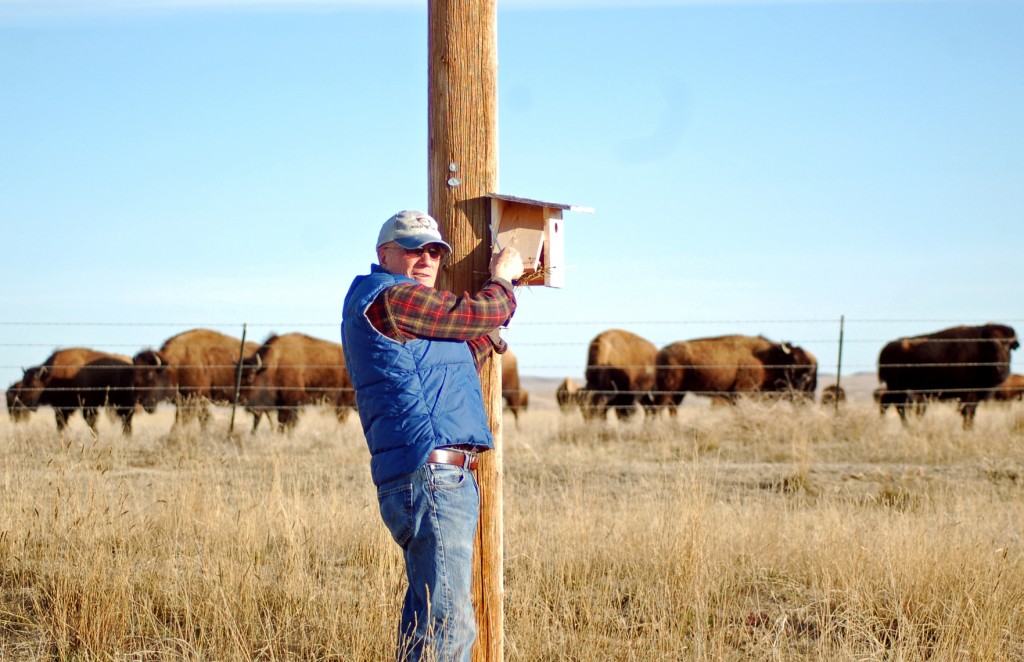 Dan O'Brien - Wild Idea Buffalo Co