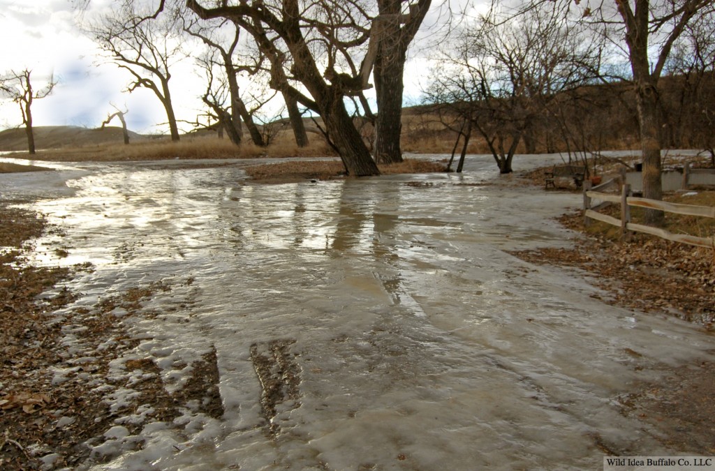Wild Idea Ranch Springs