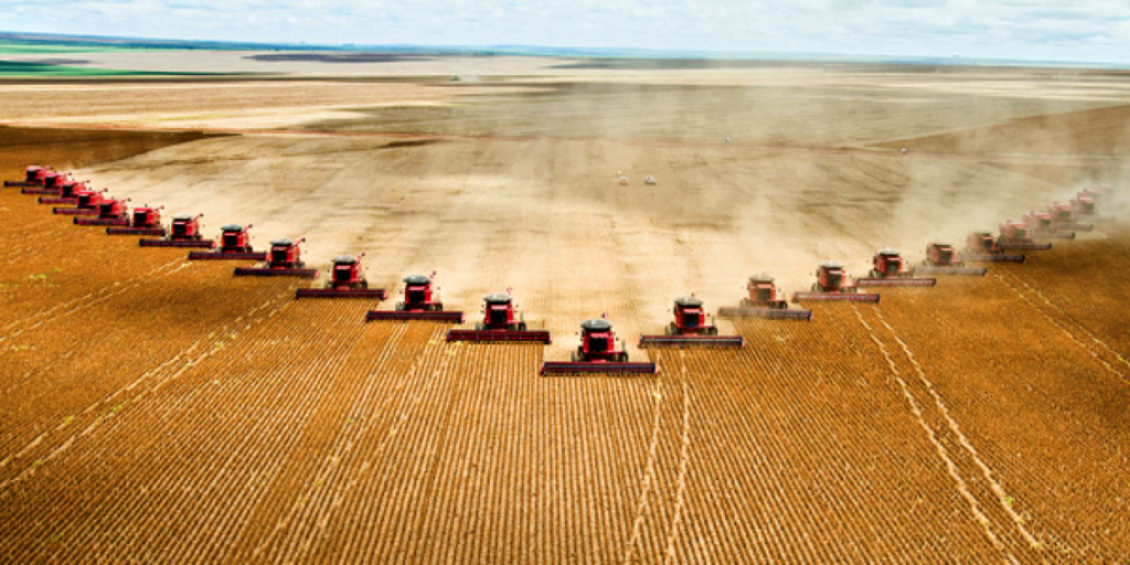 Industrial monoculture farming. Image credit: Beyond Revolution
