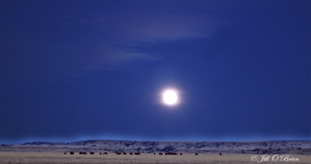 Moon over Buffalo