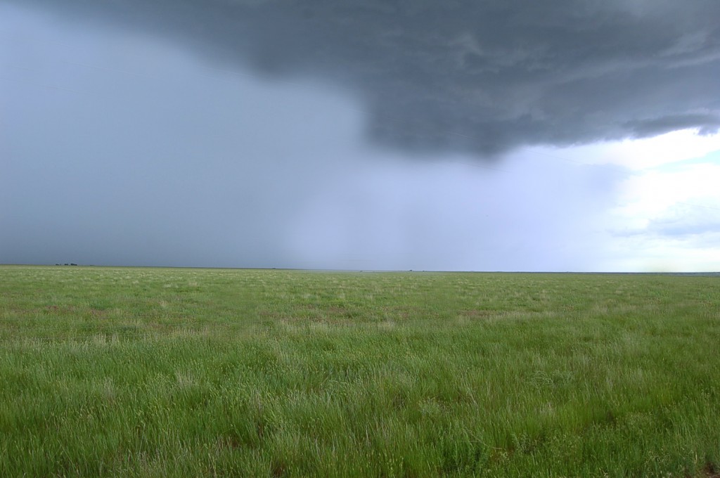 Prairie Pastures