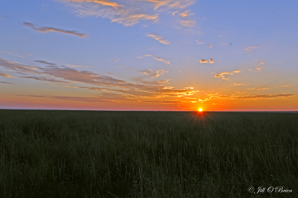 Sunrise 2 rswm