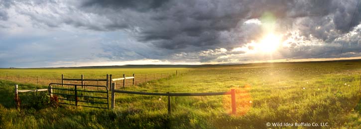 Sunset Pano rswm